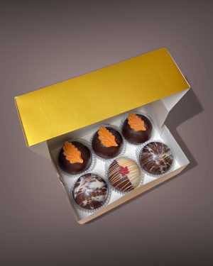 Assorted Cocoa Bombs (Box of 6)