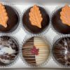 Assorted Cocoa Bombs (Box of 6)