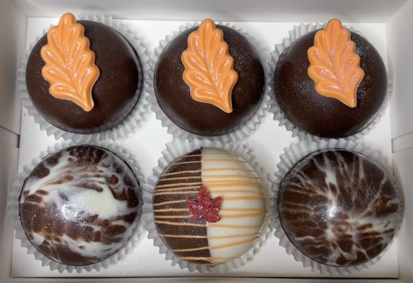 Assorted Cocoa Bombs (Box of 6)